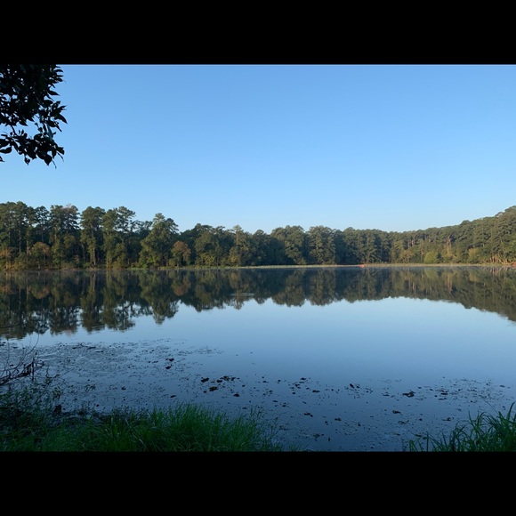 Meet your Posher, Michelle - Picture 4 of 5